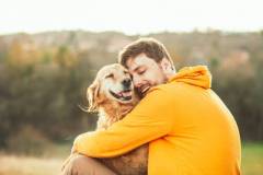 Guy and his dog, golden retriever, nature,labrador,three dogs