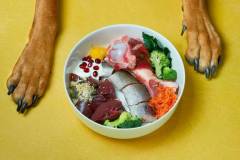 Healthy natural pet food in bowl and dog's paws on yellow background. Fish, beef meat, bone, vegetables, berries, seeds and nutritional supplements. BARF diet.